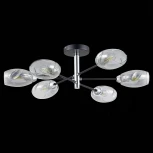 Потолочная люстра Evoluce Gloa SLE155512-06 (220V, шарики)