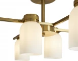 Потолочная люстра на штанге Freya Kamelia FR5446PL-06BS (220V)