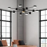 Потолочная люстра на штанге LED Lu Carte LC-11-1381