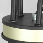 Подвесная люстра Lussole Lgo Roosevelt LSP-8198 (220V, на цепи, свеча, IP21)