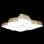 Потолочный светильник Adilux 0878