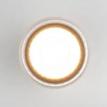 Потолочный светильник уличный Elektrostandard Light LED 35140/H серый (220V, круглые, IP54)