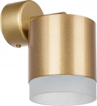 Спот Lightstar Rullo RBX349080 (220V)