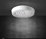 Настенно-потолочный светильник Seven Fires Лусон 45011.21.15.64