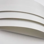 Настенный светильник Favourite Tantas 4122-2W (220V)