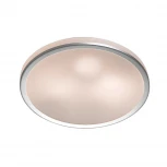 Настенно-потолочный светильник Odeon Light Yun 2177/3C