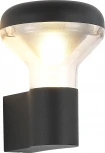 Настенный светильник уличный ST Luce Drop SL9541.701.01 темно-серый/прозрачный LED 1*6W (220V, круглые, IP54)