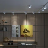 Трековый светильник Novotech Eddy 358943 (LED, 220V, круглые)