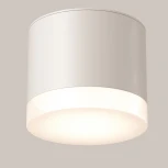 Потолочный светильник Maytoni Pauline C087CL-GX53-W GX53 1x15W (220V, круглые, IP44)