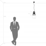 Подвесной светильник Lightstar Genni 798121 (220V, на тросе)