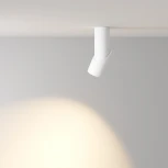 Накладной потолочный светильник Dafne 3000K 1x10Вт 38° LED Maytoni Technical C027CL-L10W (220V, круглые)