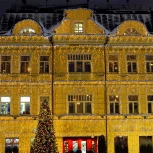 Гирлянда Ardecoled ARD-CURTAIN-CLASSIC 024871