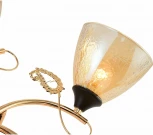 Потолочная люстра на штанге Reluce 01321-0.3-05 FGD+BK (220V)