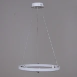 Подвесной светильник светодиодный с пультом Reluce 02476-0.4-500