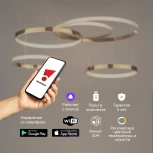 Подвесная люстра Eurosvet Smart Posh 90275/5 медный