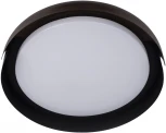 Потолочный светильник круглый Coin 10198 Black Loft It (LED, 220V, круглые)