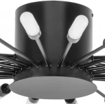 Потолочная люстра на штанге Lightstar Ragno 732287