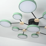 Потолочная люстра с пультом на штанге LED Lu Carte LC-11-1725