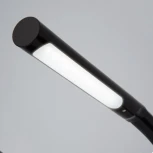 Офисная настольная лампа Elektrostandard Arch 80501/1