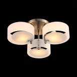 Потолочная люстра ST Luce Foresta SL483.352.03