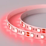 Светодиодная лента Arlight RT 2-5000 012343