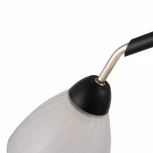 Потолочная люстра на штанге Arte Milano Napoli 324108/3 BK+FG (220V)