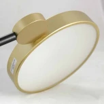 Потолочная люстра на штанге Lussole Loft Gilbert LSP-8433 (LED, 220V, IP21)