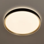 Потолочный светильник RGB круглый светодиодный с пультом Citilux Boss CL751451G (220V, круглые)