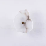 Настенный светильник Knoss 20268 (LED, 220V)