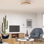 Потолочный светильник круглый светодиодный диммируемый с вентилятором с пультом управлением смартфоном регулировкой цветовой температуры Mantra Tibet 7806 (регулировка яркости, 220V, круглые)