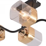 Потолочная люстра на штанге Reluce 01615-0.3-06 BK+FGD (220V)