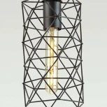 Подвесной светильник Lumion Olaf 3729/1 (220V, на проводе)