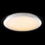 Потолочный светильник круглый Globo Nicole 48365-60 (LED, 220V, пульт управления)