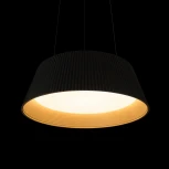Подвесной светильник Loft It Evans 10224P Black (LED, 220V, на тросе, круглые)