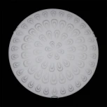 Настенно-потолочный светильник Sneha Павлин-2 мат (300) НПБ 01-2х60-001 (220V, круглые)