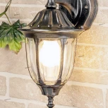 Настенный фонарь уличный Elektrostandard Feliz GL 1002D черное золото