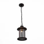 Уличный светильник подвесной ST Luce Lastero SL080.403.01 (220V, на цепи, IP54)