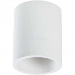 Накладной потолочный светильник Conik gyps GU10 1x30Вт Maytoni Technical C001CW-01W (220V)