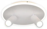 Настенно-потолочный светодиодный светильник 20046LED 20046SMA/02LED WH 28Вт, металл/акрил, белый (220V, круглые)