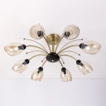 Потолочная люстра на штанге Citilux Комета CL108185 (220V, шарики)