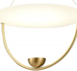 Подвесной светильник Vele Luce Andromeda 10038 VL7284P21