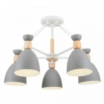 Потолочная люстра Freya Delia FR5033CL-05W