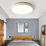 Потолочный светильник круглый светодиодный D48 ImperiumLoft DISC-DH01 189903-26 (220V, круглые)