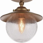 Потолочная люстра Favourite Farola 2027-1U