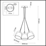 Подвесная люстра Lumion Joseph 4455/6