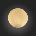 Настенный светильник ST Luce Aureo SL457.201.01