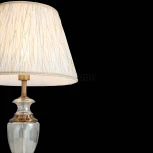 Интерьерная настольная лампа ST Luce Assenza SL966.304.01