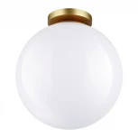 Потолочный светильник уличный Odeon Light Bosco 4249/1C