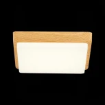 Потолочный светильник Evoluce Taddio SLE200202-01