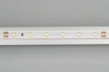 Светодиодная лента Arlight RTW 2-5000PS 024562